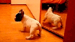2610311345260326.gif
